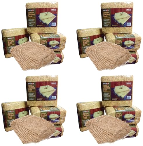 PRECISION PET Chicken Nesting Pads by Petmate – 13” x 13” Premium Chicken Bedding Fit Most Nesting Boxes – 40 Pack,Beige, Made in USA - size: 10 Count (Pack of 4)