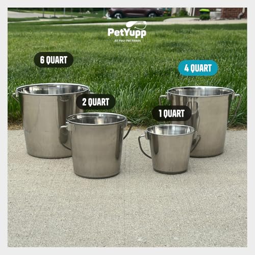 1 Gallon Heavy Duty Stainless Steel Bucket - Rust-Resistant Metal Bucket for Feeding & Watering Pets, Livestock & Cleaning - Perfect for Crates, Kennels, Cages & Hang on Fences - 4 Quart - size: 4 Quarts