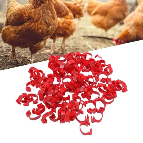 100PCS 20mm Chicken Leg Bands, 001 to 100 Numbered Colorful Chicken Birds Poultry Identification Leg Bands for Chicks Ducks Pigeons Goose Quail Yellow (red) - color: red
