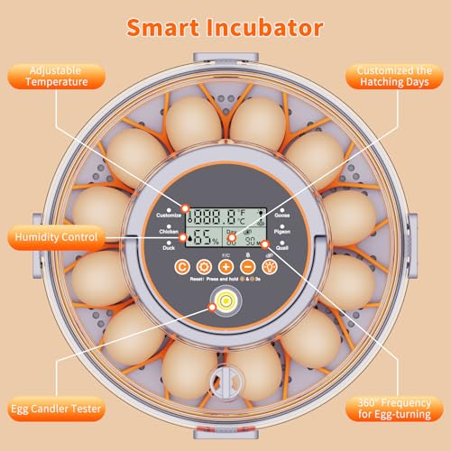 12 Egg Incubator with Automatic Egg Turning and Humidity Control 760° Turner,Incubators for Hatching Eggs, High Hatchr for Chicken Duck Quail Pigeon,Science Classroom, Home | Incubator for Chicken Eggs,Duck,Goose,Quail,Snake,Egg Incubator with Automatic E