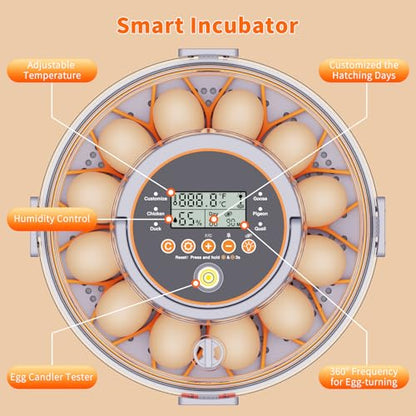12 Egg Incubator with Automatic Egg Turning and Humidity Control 760° Turner,Incubators for Hatching Eggs, High Hatchr for Chicken Duck Quail Pigeon,Science Classroom, Home | Incubator for Chicken Eggs,Duck,Goose,Quail,Snake,Egg Incubator with Automatic E