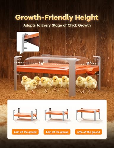 chickcozy Smart Chicken Coop Heater, Adaptable to Timer and Temp Controllers, Chicken Coop Heater for Winter, 200W