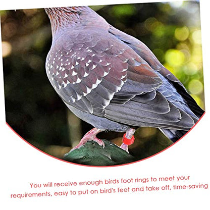 100pcs Bright Colors Meat Pigeon Anklet Pigeon Foot Rings Poultry Leg Bands Identification Ring for Birds Chicken Supplies