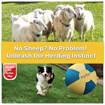 Herding Ball for Dogs – 18” Dog Training Ball with Handles for Medium & Large Breeds – Non-Chew Interactive Toy for Aussies, Heelers & Collies – Outdoor Exercise & Mental Stimulation Toy