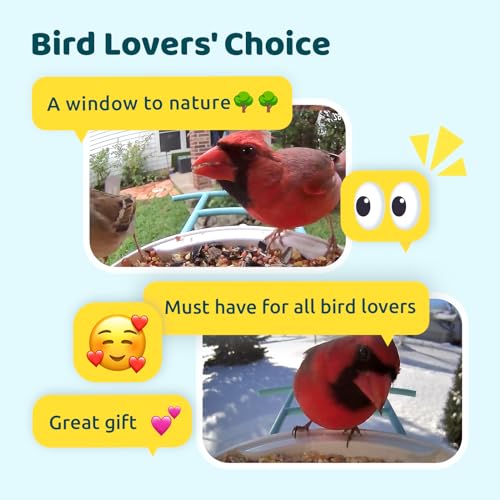 NETVUE by Birdfy Smart Bird Feeder with Camera – AI Identifies Birds Species 2MP Night Vision & App Alerts, 2.4Ghz Wi-Fi Connect IP65 Weatherproof Bird Camera-Gift for Backyard BirdWatchers, Yellow - color: Yellow, style: AI Solar