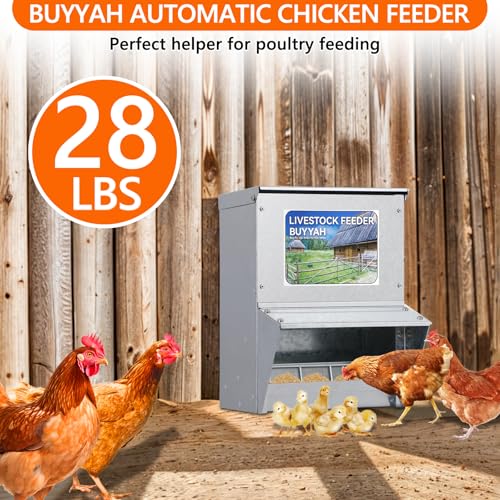 Automatic Chicken Feeder, 30 lb Capacity, Galvanized Metal Poultry Feeder, Waterproof Chicken Feeder, Suitable for Poultry, Geese, Quails, Bantams, Ducks and Turkey