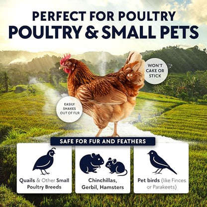 4 x 5.5lb Chickie Whiz Dust Bath, All-Natural Chickie Whiz Dust Bath Powder for Chickens for Healthier Chicken Eggs, Clean, Healthy Chickens Other Small Pet Animals by Billy Buckskin Co. - size: 4 x 5.5 LB