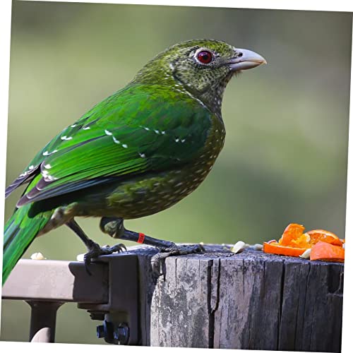 100pcs Pigeon Foot Rings Durable Leg Bands for Racing Pigeons Parakeets and Other Birds Bright Colors for Easy Identification - color: Red