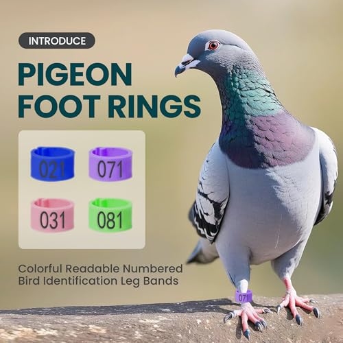 Pigeon Foot Rings – Colorful Numbered Bird Leg Bands, 100 pcs | Readable identification bands for birds