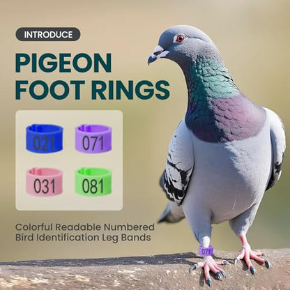 Pigeon Foot Rings – Colorful Numbered Bird Leg Bands, 100 pcs | Readable identification bands for birds