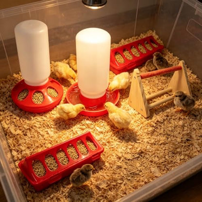 2026 New Chick Feeder and Waterer Starter Kit with Roost Bar,4-Piece Baby Chick Supplies Set with 2 Trough Feeders and No-Leak Water Dispenser for Chicks,Quail,Ducklings,and Small Poultry Brooder