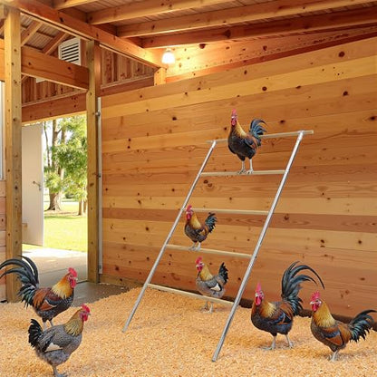 Chicken Roosting Perch - Heavy Duty 4-Tier Metal & Wood Chicken Roost Bars, Large Coop Accessory - Easy Install (55" L x 40" W) for Backyard Poultry, Hens & Farm Pens - size: 55*40 IN