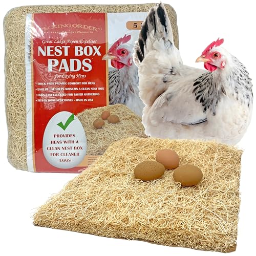 Nest Box Pads for Chicken Nesting Boxes - 13 x 13 Pads Made in USA from Sustainably Sourced Aspen Excelsior (5 Pack) - size: 5 Count (Pack of 1)