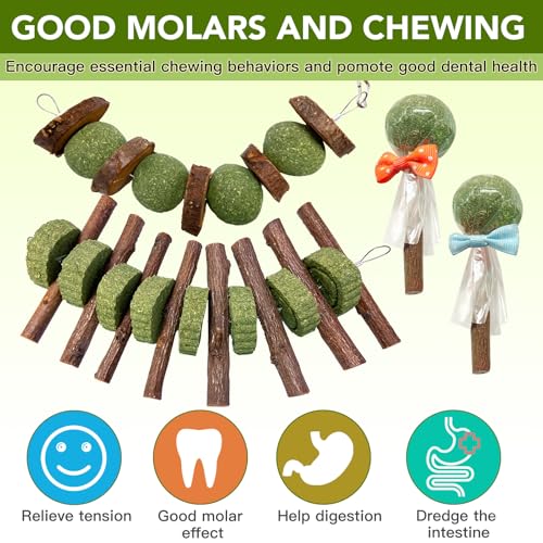 Jorewood 3 Pcs Bunny Chew Toys with 3 Pcs Rabbit Chew Lollipop for Teeth Grinding, Improve Dental Health, Treats for Rabbits Guinea Pigs Chinchillas Bunnies Hamsters - size: 6 count