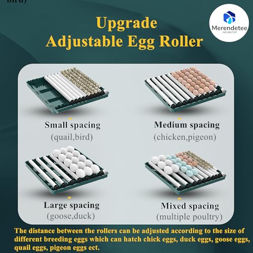 Egg Automatic Incubator 24-60 Eggs Automatic Intelligent Incubators for Hatching Eggs,Poultry Hatching Machine for Chicken Duck Goose Quail Bird Pigeon