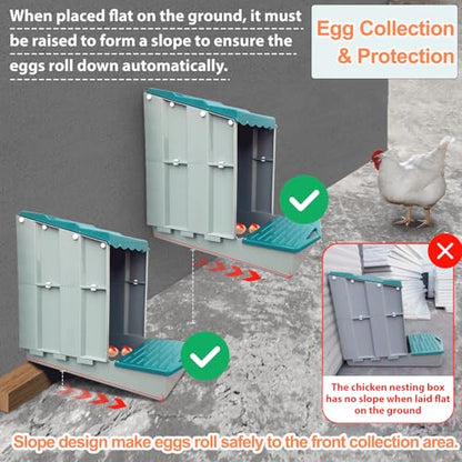 Nesting Boxes for Chickens, Roll Away Chicken Nesting Boxes with Egg Collection for Easy Picking & Protecting Eggs, 6-Compartment Chicken Laying Boxes for Hens, Easy to Clean & Install - size: 6 Compartments