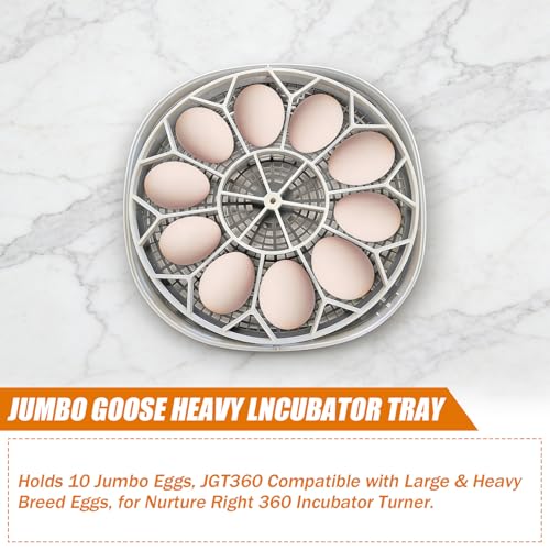 JGT360 Jumbo Goose Heavy Incubator Tray, Holds 10 Jumbo Eggs, for Nurture Right 360 Incubator Turner, Compatible with Large & Heavy Breed Eggs (White)