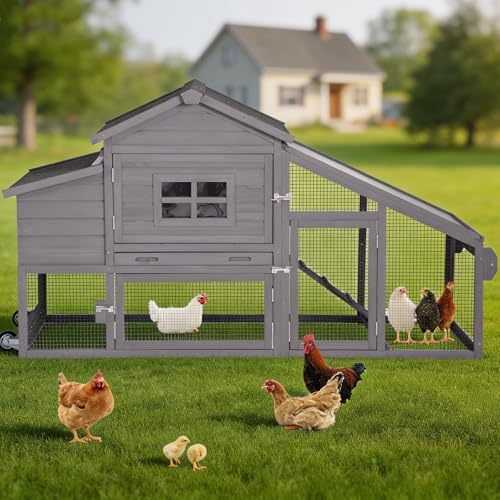 Mobile Chicken Tractor with 2 Nesting Boxes, 81" Large Wooden Chicken Coop for 2-4 Chickens, Predator Proof Poultry House with Wheels, Waterproof Roof & Removable Tray (Grey, 67.3"L x 26"W x 39.4"H) - color: Grey, size: 67.3"L x 26"W x 39.4"H