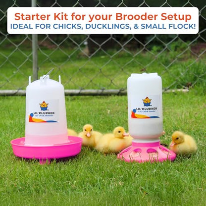 Lil'Clucker 1L Chick Feeder, 1.5L Chicken Waterer - No Leakage Chick Feeder and Waterer Kit, Durable Chicken Water Feeder, Chicken Feeder and Waterer Set, Poultry Waterer (Pink) - color: Pink