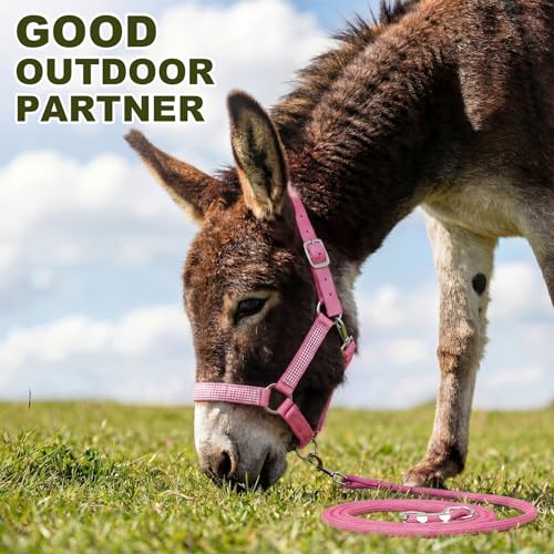 1 Set Miniature Donkey Halter with Lead Ropes, Cute and Stylish Adjustable Nylon Head Collar Set for Miniature Donkeys (Pink) - color: Pink