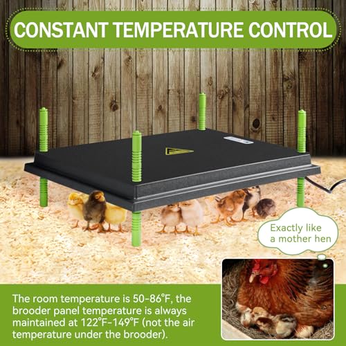 16"x22" Chick Brooder Heater Plate & Shaledig Brooder Box for 15 Chicks