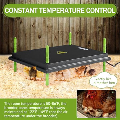 16"x22" Chick Brooder Heater Plate & Shaledig Brooder Box for 15 Chicks