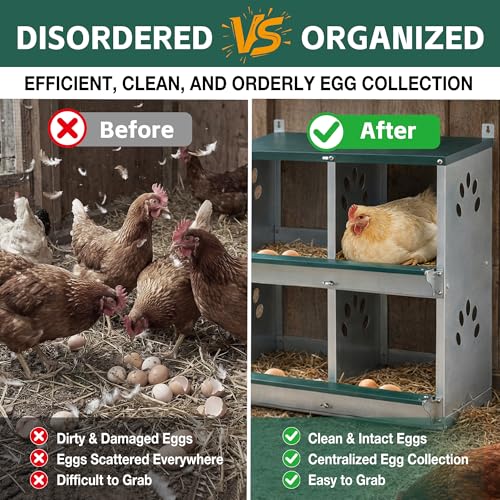 4 Compartments Metal Chicken Nesting Box,Wall Mounted Egg Box,Green,Rustproof and Easy to Clean