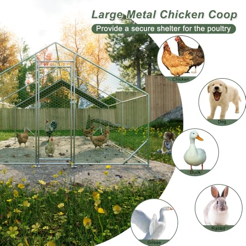 Sturdy Walk-in Chicken Run with Galvanized Steel Frame and PVC-Coated Hexagonal Wire Mesh for Outdoor Poultry Enclosure (3x6m-1) - color: 3x6m-1