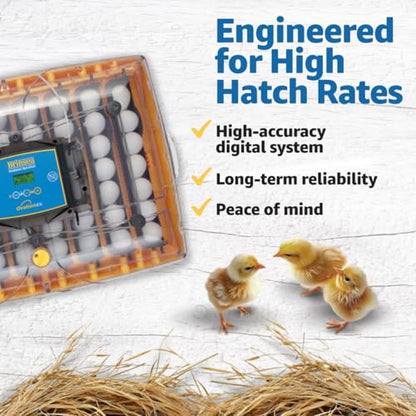 Brinsea Ovation 56 EX Egg Incubator and Book, Automatic Egg Turning and Humidity Control for Hatching 56 Chicken, Duck, Other Bird Eggs, Precision Digital Controls - style: Not Connected + Book