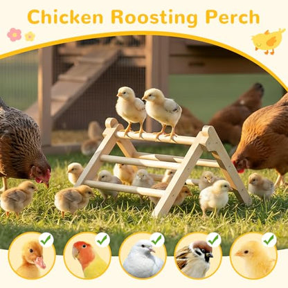 Innoland Chick Perch Foldable, Chick Toys Stable & No Assemble, Baby Chick Toys for Stand Training, 12.44" ×11.02" ×7.44" Chick Roosting Perch for Chicks Brooder | Coop (L) - size: 12.44" ×11.02" ×7.44"