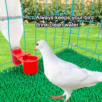 10 Pcs Bird Drinker Feeder Plastic Soda Pop Water Bottle Cup Pigeon Water Bottle Feeder for Cage for Chicken Pigeons Birds (Plastics, 10pcs)