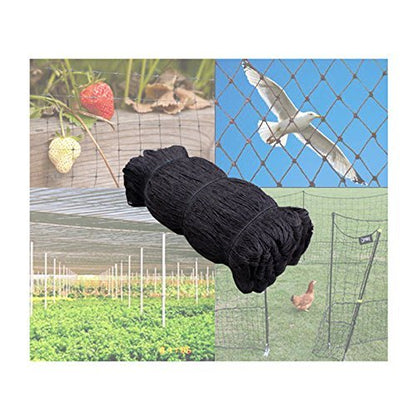 Strong All Season 50ft X 100ft Net Long Lasting Netting for Bird Poultry Aviary Game Pens New 2" Square Mesh Size - size: 50ft x 100ft