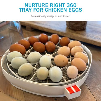 Egg Trays for Nurture Right 360 Egg Incubator - 22 Medium Chicken Eggs Capacity - Durable Hand Washable Egg Keeper for Chicken Goose Turkey Emu