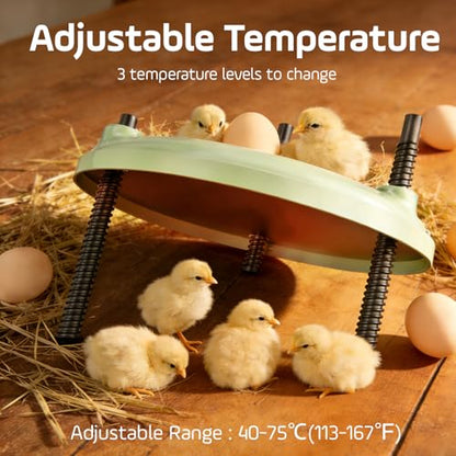 Brooder Plate for Chicks,12inch Metal Heating Plate,Perfectly Adjustable Height & Angle, 35W Chick Warmer for Brooding Newborn Chicken Duckling Quail,Chicken Coop Heater, Warming Puppy Cats - size: Round