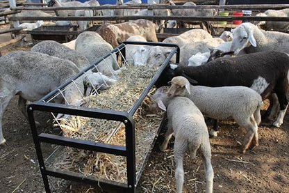 Pasture Hay Feeder for Goats, Sheep, Miniature Horses and Small Livestock,5 Feet Long, Black