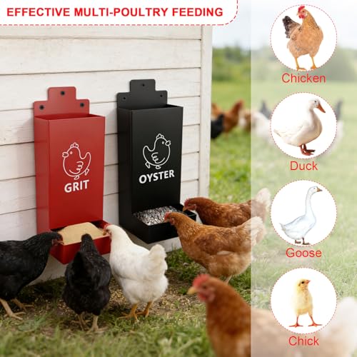 2 Pack Chicken Oyster Shell Feeder and Grit Feeder,1mm Thickness Metal Chicken Feeders for Hens and Chicks Wall Mounted, No Waste, Heavy Duty Poultry Supplies for Backyard Chickens, Ducks, Geese