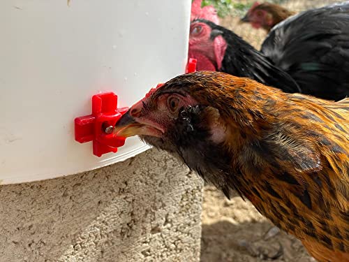 Noble Nest 5 Gallon Bucket Chicken Nipple Waterer, 8 Nipple, 360° Waterer - color: No Stand, size: 8 Nipple, 360° Waterer