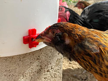 Noble Nest 5 Gallon Bucket Chicken Nipple Waterer, 8 Nipple, 360° Waterer - color: No Stand, size: 8 Nipple, 360° Waterer