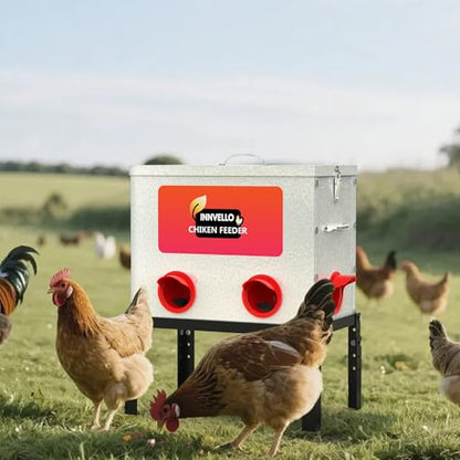 40 lb Metal Chicken Feeder with Adjustable Height Stand - Automatic Gravity Poultry Feeder No Waste - Rat Proof Galvanized Large Chicken Feed Container for Outdoor Chickens Ducks & Geese
