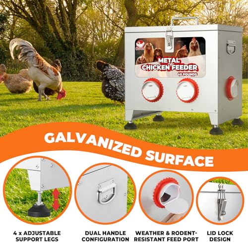 Sidasu 40 lbs 6 Port Galvanized Chicken Feeder with Adjustable Height,Locking Lid&Riveted Handles,Large Capacity Rainproof Automatic Chicken Feeders Silver - size: 40LBS