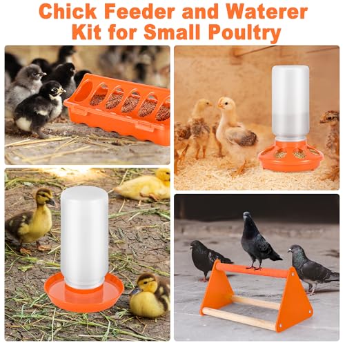 POMINEL Plastic Baby Chicken Feeder and Waterer Set (Orange) - color: Orange