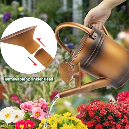 1 Gallon Metal Watering Can with Removable Spout, Nice Galvanized Steel Water Can for Indoor and Outdoor Plants (House Plants) - color: Bronze