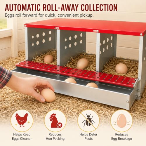 3-Compartment Roll Away Chicken Nesting Box for Hens, 32.6 Inch | Metal build, Egg collection tray, Perch, Protective lid, Wall mount, Freestanding setup, Ducks, Backyard coop, Barn supply - size: 32.6"L x 16.9"W x 13.9"H