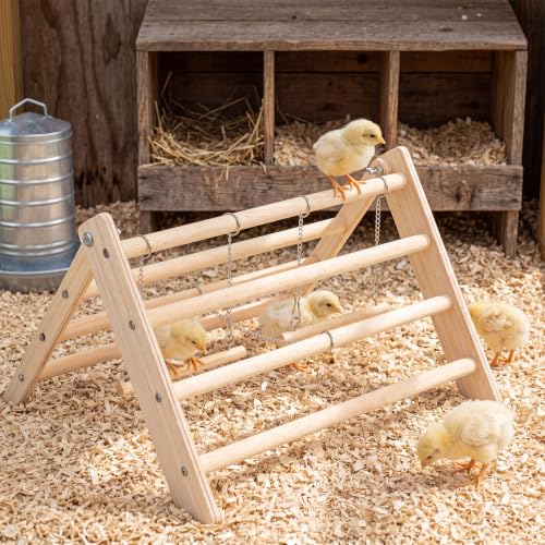 Novabright Wooden Chick Perch with 2 Swings Chicken Roosting Bar Coop Brooder Perch Stand Pine Wood Chick Training Toy for Baby Chicks Parakeets Parrots Bird Cage Jungle Gym