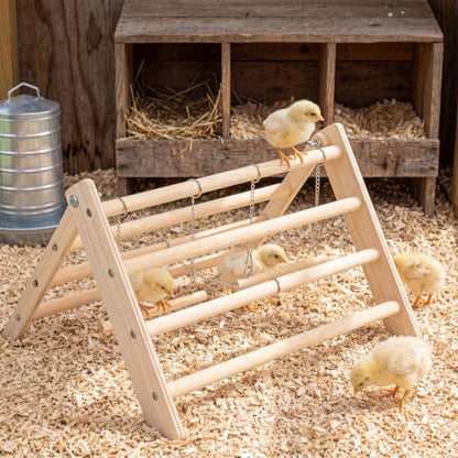 Novabright Wooden Chick Perch with 2 Swings Chicken Roosting Bar Coop Brooder Perch Stand Pine Wood Chick Training Toy for Baby Chicks Parakeets Parrots Bird Cage Jungle Gym