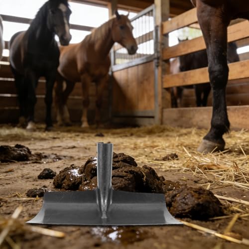 Heavy Duty Manure Scraper for Horse Stalls, Metal Floor Squeegee Barn Cleaning Tool, 12-Inch Wide Blade Poop Scooper for Livestock Pen, Stable and Farm Supplies