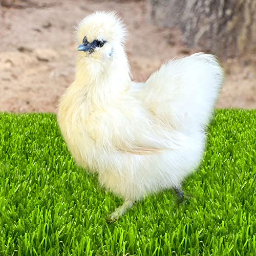 8 Pack Chicken Nesting Box Pads for Laying Eggs - 12"x12"x1.2", Washable Hen Nesting Pads for Chicken Coop, Artificial Grass Chicken Bedding Rug Carpet Synthetic for Garden Lawn Indoor Outdoor