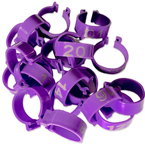 Chicken Leg Rings - 20 Numbered Tag Markers for ADULT Birds | 1/2” to 5/8” legs | Clip On Poultry Ankle Bands for Gamefowl,Ducks, Guineas | Colored ID Legband for Breeding Marking, & Banding | Fowls - color: Purple, size: Medium