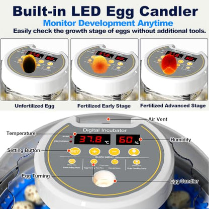32 Quail Egg Incubator for Hatching Eggs, Dual Power Supply, Automatic Egg Turner, Humidity & Temperature Monitor, Egg Candler, External Water Filling, Bird Egg Incubator for Quail Dove