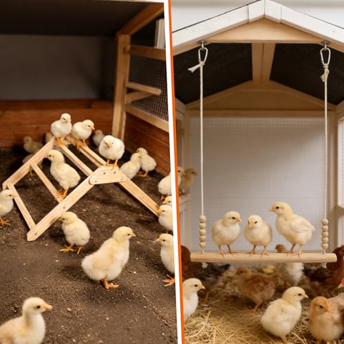 3PCS Chicken Coop Toys Set - Chicken Perch & Chicken Swing，Natural Wood Chicken Coop Accessories for Hens Poultry Rooster Bird Parrot